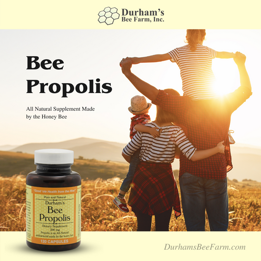 Propolis CAPSULES 500mg